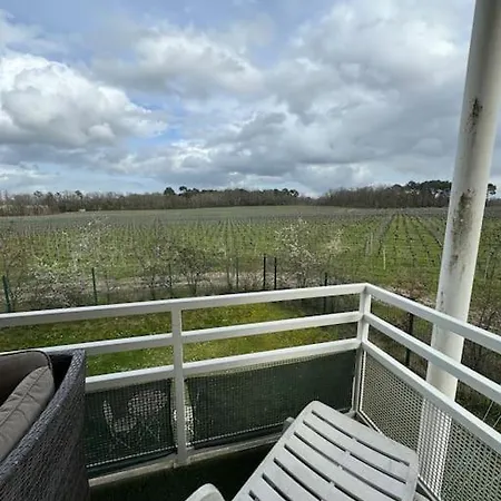 Vue Pano Sur Vignes *
