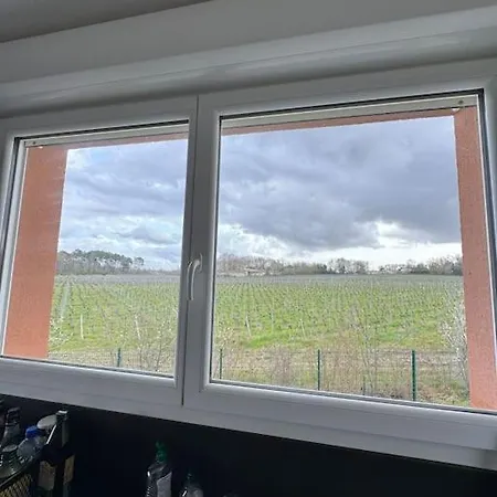 Vue Pano Sur Vignes Apartament *