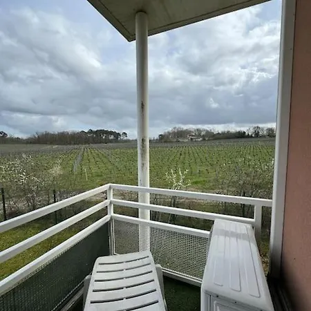 Vue Pano Sur Vignes * Martillac