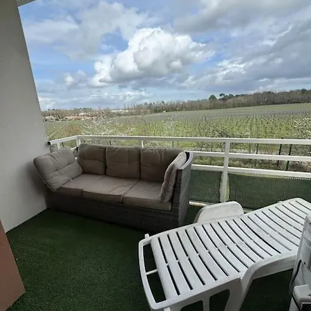Vue Pano Sur Vignes Apartament Martillac