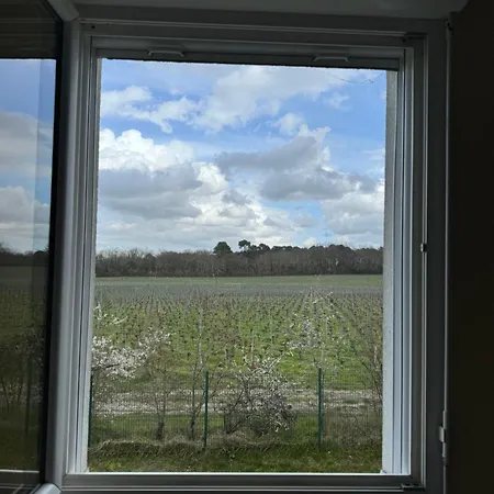 Vue Pano Sur Vignes *