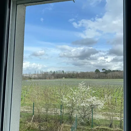 Apartament Vue Pano Sur Vignes Martillac